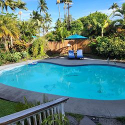 Orchid Tree Bed & Breakfast - Pool