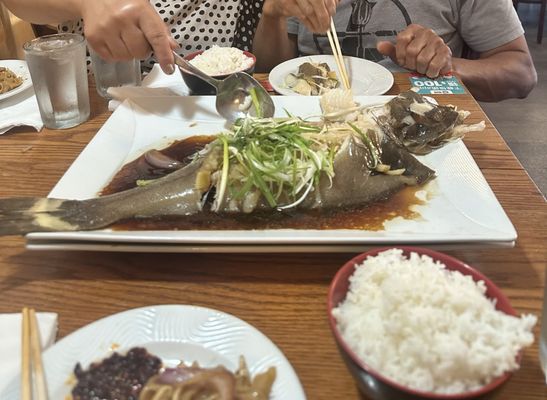 Tsingtao House by null