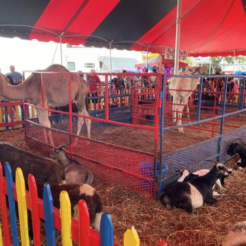The Big E - Petting zoo - Stadiums & Arenas Near Me - West Springfield, Massachusetts