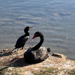 Parque do Ibirapuera