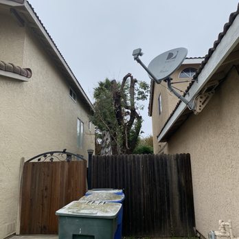 Cali Tree Professionals - Tree Services Near Me - Galt, California Cali Tree Professionals - Tree Services Near Me - Galt, California