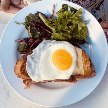 Willa's - Croque Madame - New American Near Me - Tampa, Florida Willa's - Croque Madame - New American Near Me - Tampa, Florida