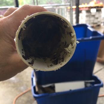 Stark's Vacuums - Piece of vac pvc pipe from the attic - Appliances & Repair Near Me - Vancouver, Washington Stark's Vacuums - Piece of vac pvc pipe from the attic - Appliances & Repair Near Me - Vancouver, Washington