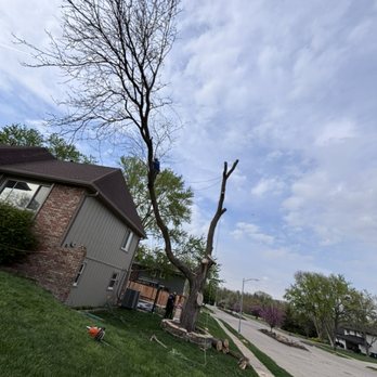 Fermincho Tree Service and Lancaping - Tree Services Near Me