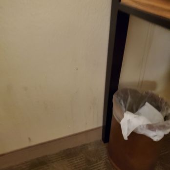 Hampton Inn & Suites Salinas - more disgusting splatters on wall - Hotels Near Me - Salinas, California Hampton Inn & Suites Salinas - more disgusting splatters on wall - Hotels Near Me - Salinas, California