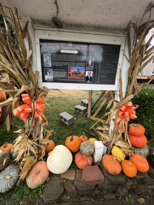 Kenova's Pumpkin House by null