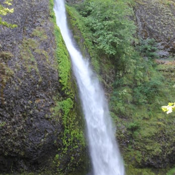Horsetail Falls - Horsetail Falls - Hiking Near Me - Cascade Locks, Oregon