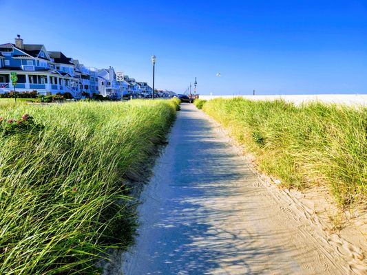 Belmar Beach by null