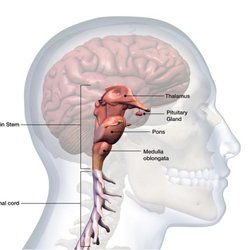 Pys Headache and Pain Clinic