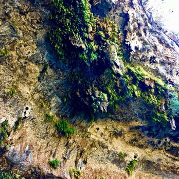Hamilton Pool Preserve - Parks Near Me - Dripping Springs, Texas Hamilton Pool Preserve - Parks Near Me - Dripping Springs, Texas