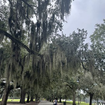 Forsyth Park - Parks Near Me - Savannah, Georgia Forsyth Park - Parks Near Me - Savannah, Georgia