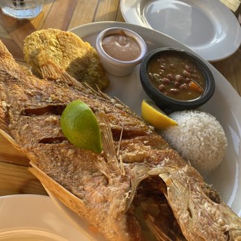 Duffy's - Fried red snapper - Coffee & Tea Near Me - Vieques, Puerto Rico Duffy's - Fried red snapper - Coffee & Tea Near Me - Vieques, Puerto Rico