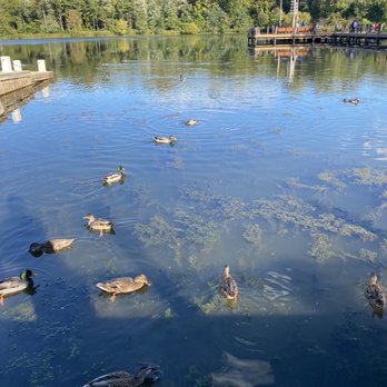 Lake Kittamaqundi - Lakes Near Me