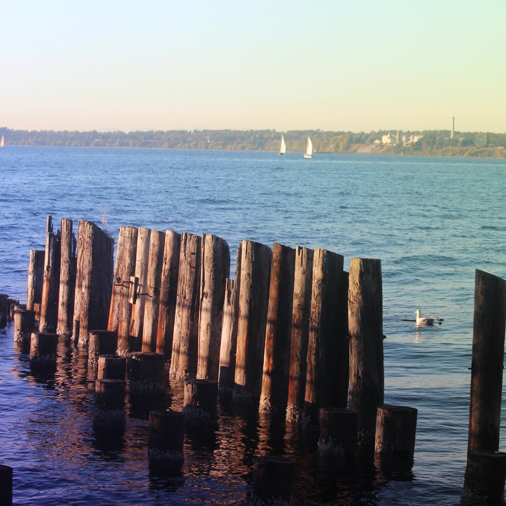 Boulevard Park - Parks Near Me - Bellingham, Washington Boulevard Park - Parks Near Me - Bellingham, Washington