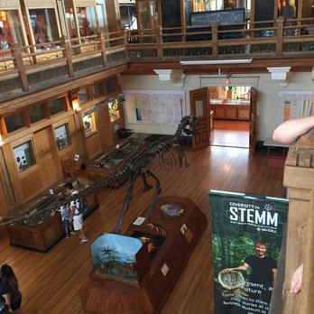 Musée Redpath - Museums Near Me - Montreal, Quebec