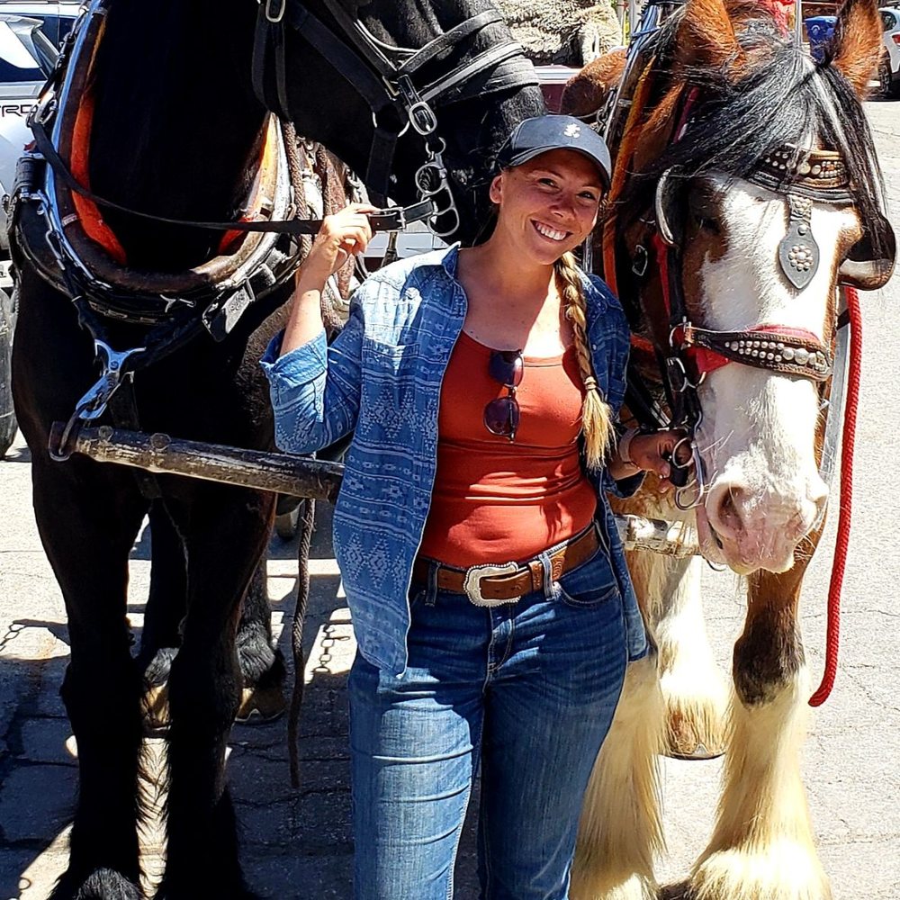 Big Bear Carriages - Event Planning & Services Near Me Big Bear Carriages - Event Planning & Services Near Me