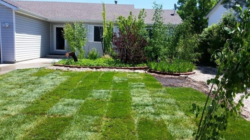 LONG GRASS LANDSCAPE Updated September 2024 41 Photos 176 50th