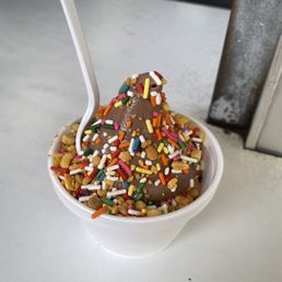 Chocolate Ice Cream