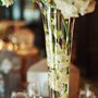 Photo of OSHi Floral Design