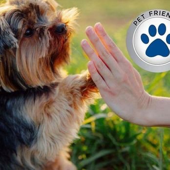 STL Pest Control - Eco & Pet Friendly Applications - Pest Control Near Me - Saint Louis, Missouri STL Pest Control - Eco & Pet Friendly Applications - Pest Control Near Me - Saint Louis, Missouri