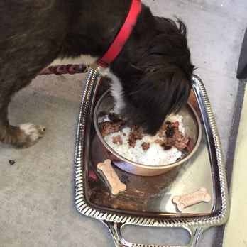 Morrison - Beef and rice for the doggies! - Gastropubs Near Me - Los Angeles, California Morrison - Beef and rice for the doggies! - Gastropubs Near Me - Los Angeles, California