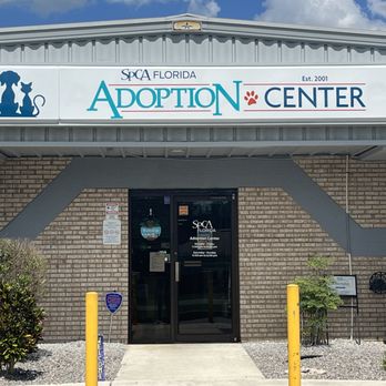 SPCA Florida - Stop by the adoption center to find your future furry friend and life-long companion. - Animal Shelters Near Me - Lakeland, Florida SPCA Florida - Stop by the adoption center to find your future furry friend and life-long companion. - Animal Shelters Near Me - Lakeland, Florida