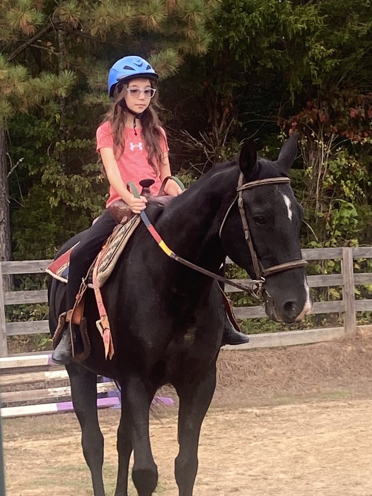 KO Stables - equestrian in Kingston, TN