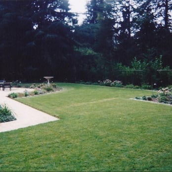 EW Landscape, Inc. - a lawn with a bench and trees in the background - Landscaping Near Me - Menlo Park, California EW Landscape, Inc. - a lawn with a bench and trees in the background - Landscaping Near Me - Menlo Park, California