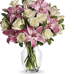 Fiesta - This is an example of what I ordered from Pioneer Flowers in Artesia, CA.