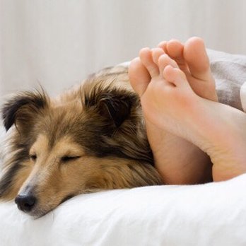 K9 Krewe Pet Care - Ask about our In-home Pet Sitting services! #K9KrewePetSittingBaton Rouge #BestBatonRougePetCareServicesProvider #BestPetSittingServiceBR - Dog Walkers Near Me K9 Krewe Pet Care - Ask about our In-home Pet Sitting services! #K9KrewePetSittingBaton Rouge #BestBatonRougePetCareServicesProvider #BestPetSittingServiceBR - Dog Walkers Near Me