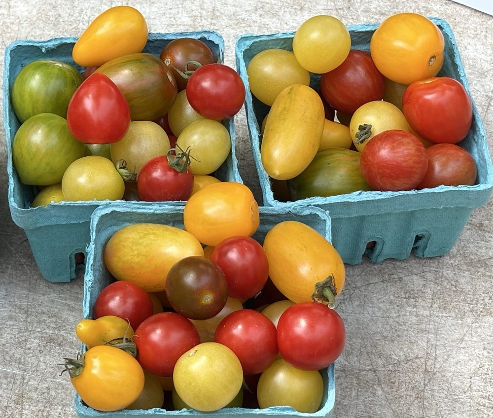 Van Vorst Park Farmers Market Logo
