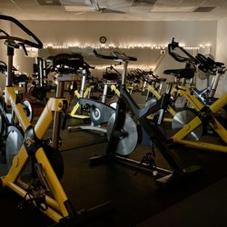 Life Quest Swim & Fitness