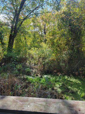 Audubon Society of Rhode Island Nature Center and Aquarium by null