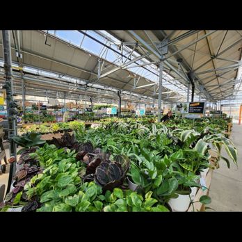 The Home Depot - Nurseries & Gardening Near Me - Chicago, Illinois The Home Depot - Nurseries & Gardening Near Me - Chicago, Illinois