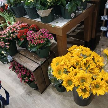 The Fresh Market - Great floral department - Grocery Near Me - Wethersfield, Connecticut