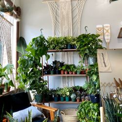 Coda Co - The plant wall. But there's more!