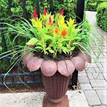 A Helping Hand Yard Maintenance - Landscaping Near Me