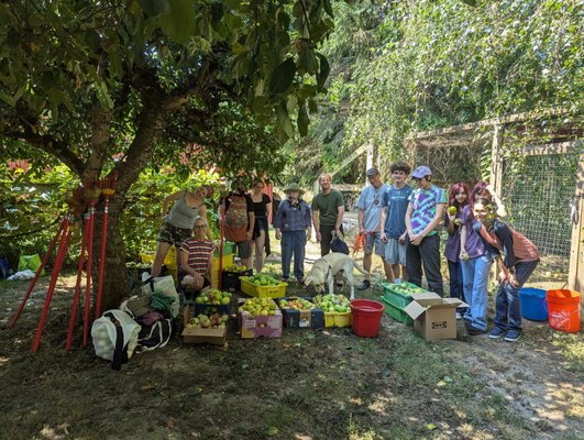Portland Fruit Tree Project by null
