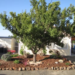 Willow Tree School