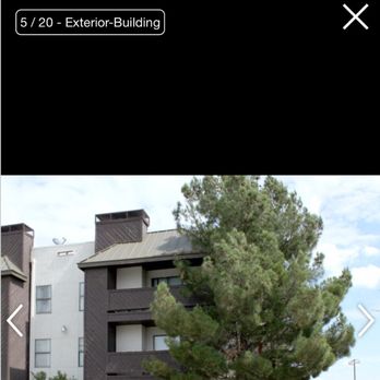 Pepper Tree Apartment - Apartments Near Me - Amarillo, Texas Pepper Tree Apartment - Apartments Near Me - Amarillo, Texas