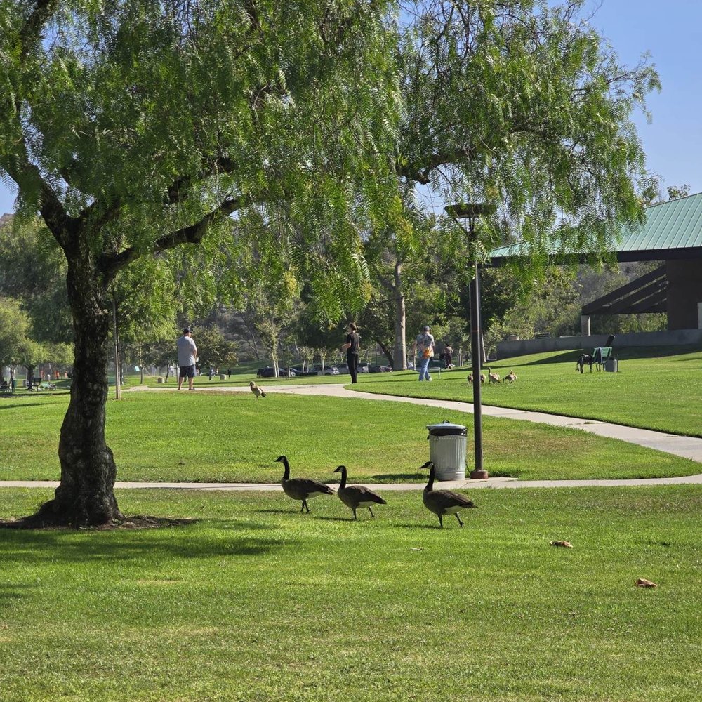 Ralph B Clark Regional Park - 3s - Parks Near Me - Buena Park, California Ralph B Clark Regional Park - 3s - Parks Near Me - Buena Park, California