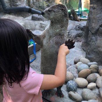 CuriOdyssey - Zoos Near Me - San Mateo, California