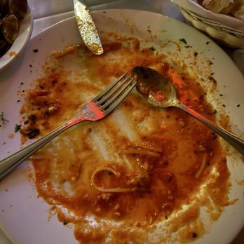 Casa Ludovico - Annihilated this pasta dish with the help of no-one. - Italian Near Me - Palm Harbor, Florida Casa Ludovico - Annihilated this pasta dish with the help of no-one. - Italian Near Me - Palm Harbor, Florida