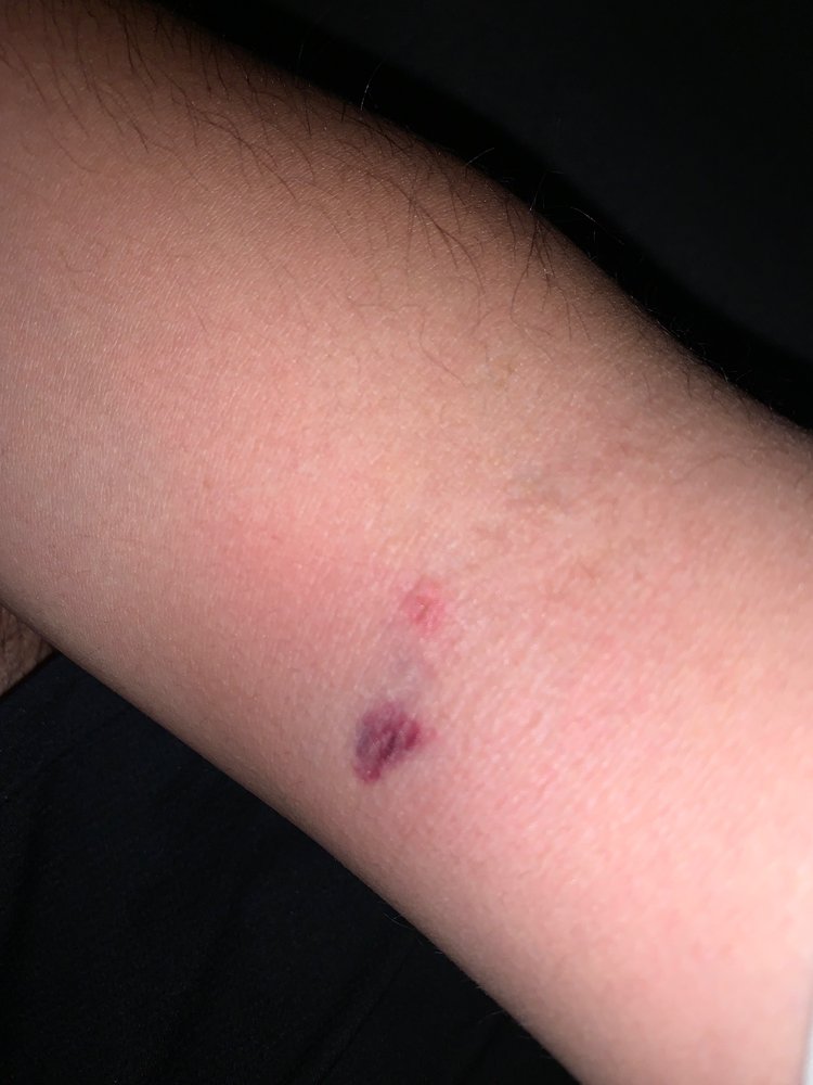 CSL Plasma - grief counselor in Henderson, NV