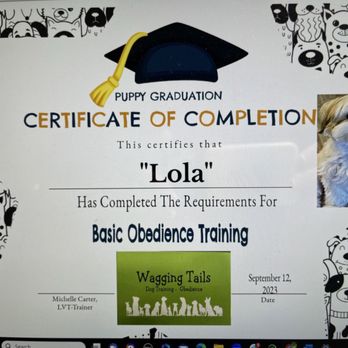 Wagging Tails - Pet Training Near Me Wagging Tails - Pet Training Near Me