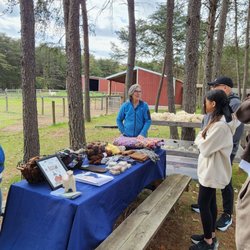 Learning all about Alpacas