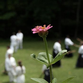 Long Island Aikikai - Martial Arts Near Me - Bay Shore, New York Long Island Aikikai - Martial Arts Near Me - Bay Shore, New York