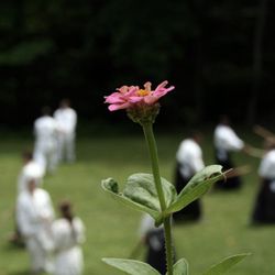 Long Island Aikikai