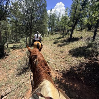 Wild West Trail Rides - Horseback Riding Near Me - New River, Arizona Wild West Trail Rides - Horseback Riding Near Me - New River, Arizona