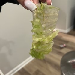 Fuji Yama - House Salad